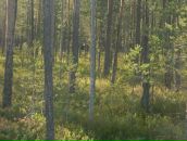 Гена Синило фотография #46 (источник - https://vk.com/id44843113)