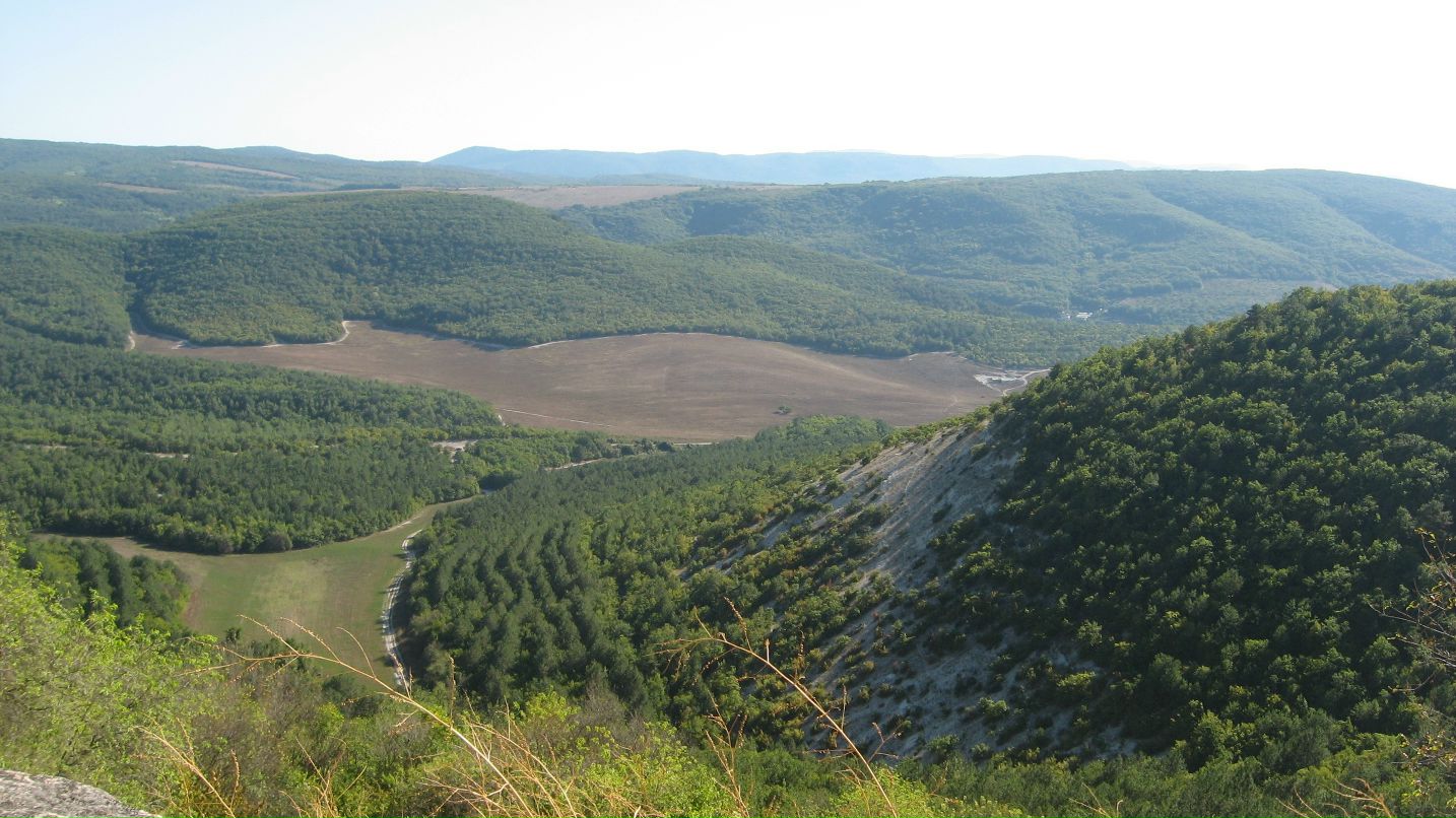 Дмитрий Вальковец фотография #29