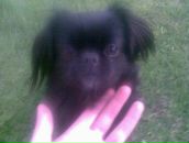 Соломія Марунчак фотография #19 (источник - https://vk.com/id108232932)