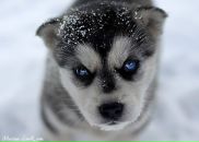 Фотография Пилипенко Веры