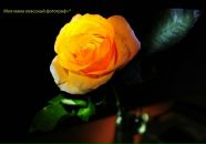 Фотография Фторенко Софьи