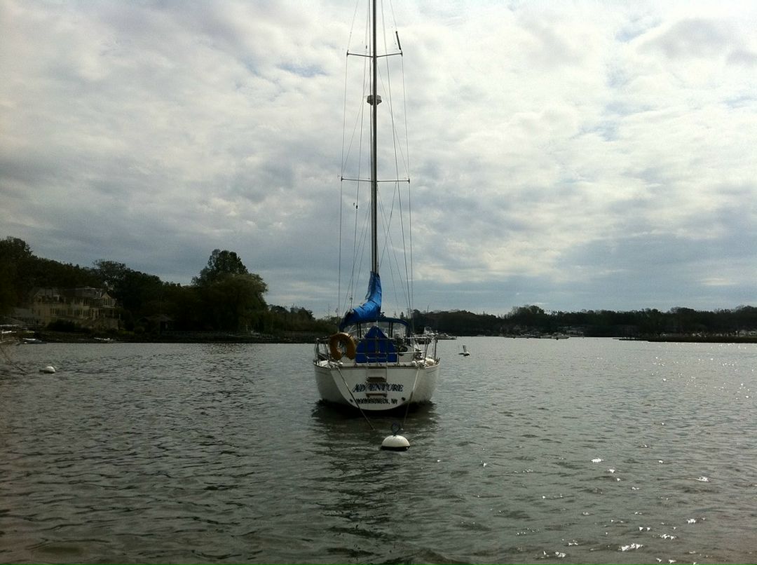 Дмитрий Сапсан фотография #48