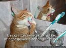 Марія Йосифів фотография #25 (источник - https://vk.com/id149421293)
