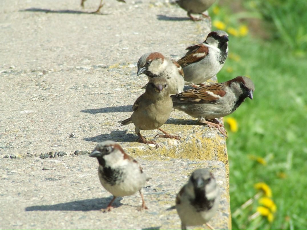 Дмитрий Дмитриченко фотография #38