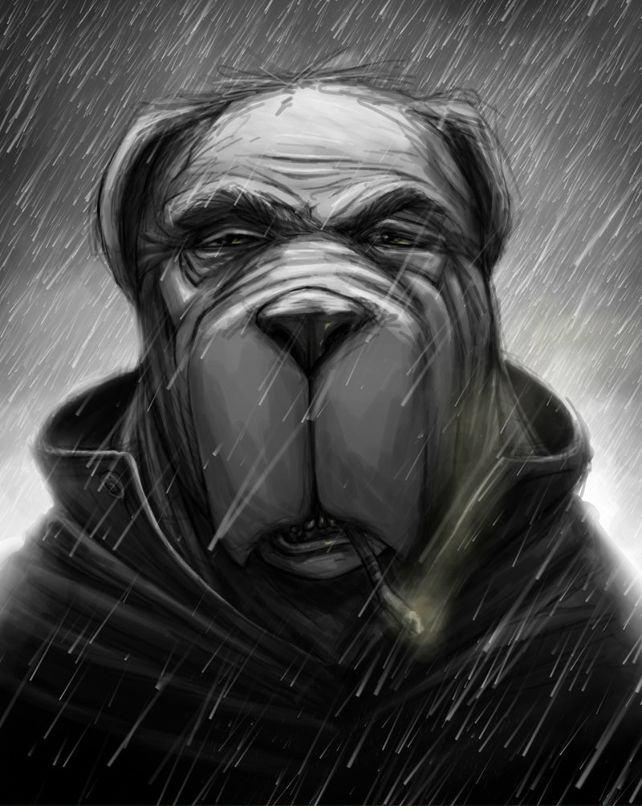 Сергей Лебедев фотография #32