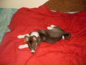 Лайма Ремінська фотография #43 (источник - https://vk.com/id108747419)