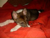 Лайма Ремінська фотография #48 (источник - https://vk.com/id108747419)