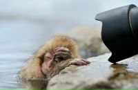 Οксана Κонстантинова фотография #28 (источник - https://vk.com/id166500124)