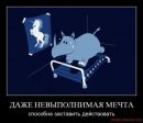 Сергій Зеленько фотография #20 (источник - https://vk.com/id93324979)