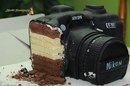 Аліреза Іран фотография #15 (источник - https://vk.com/id92541125)