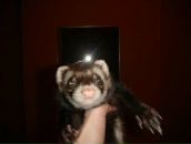 Фотография Baryshnikov Vitaliy