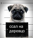 Фотография Фроленко Александра