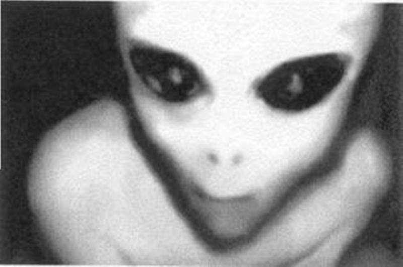 Alex Meyer фотография #24