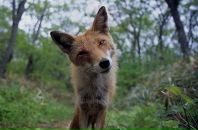 Фотография Разилова Лени