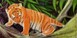 Фотография Лопатина Сергея