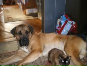 Руслан Селезнёв фотография #16 (источник - https://vk.com/id7103769)