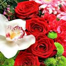 Фотография Васильевой Натальи