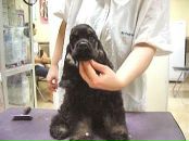 Фотография Поляковой Оли