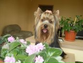 Фотография Леонтьевой Светланы