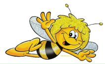 Фотография Поповой Элины