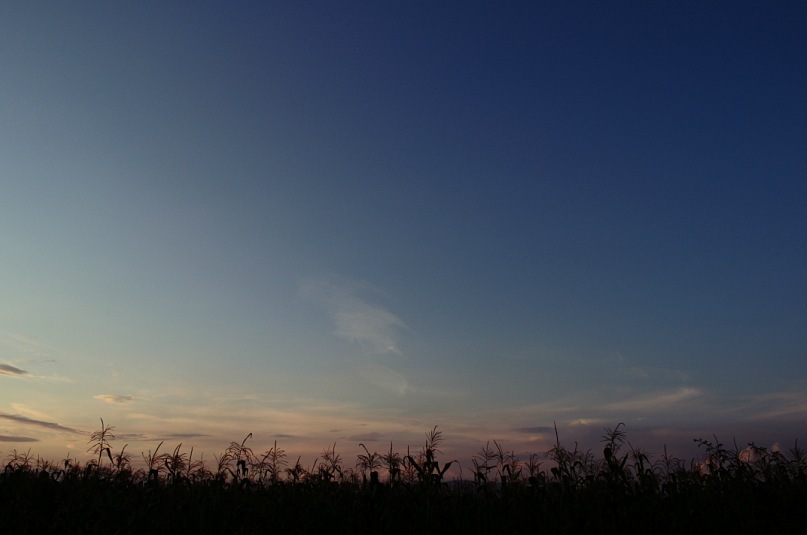 Игорь Heaven фотография #22