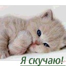 Віталіна Яценко фотография #17 (источник - https://vk.com/id160961086)