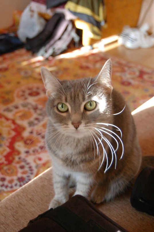 Николай Щеглов фотография #29