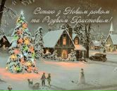 Світлана Копцюх фотография #18 (источник - https://vk.com/id17702350)