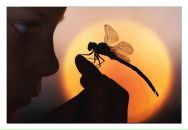 Дмитрий Гриценко фотография #30 (источник - https://vk.com/id2354151)