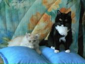 Фотография Закирова Роберта