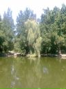 Надія Заблоцька фотография #9 (источник - https://vk.com/id97473018)