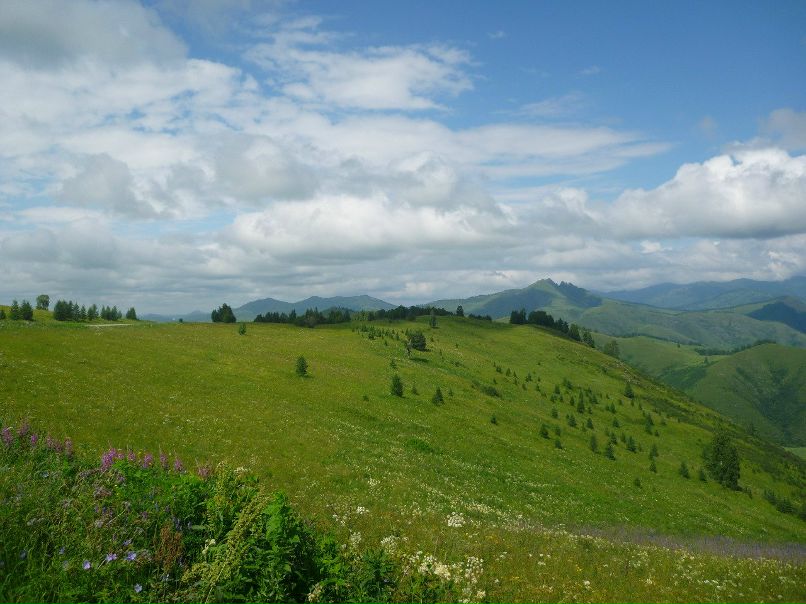 Игорь Митеев фотография #10