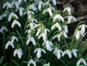 Фотография Павловой Любови