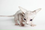 Фотография Жуковой Евгении