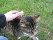 Богдан Тимків фотография #14 (источник - https://vk.com/id5129005)