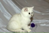 Фотография Нееловой Ирины