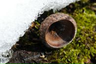 Юрій Сернівка фотография #27 (источник - https://vk.com/id10522815)