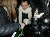 Фотография Александровны Елизаветы