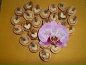 Фотография Не важно Натали