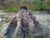 Фотография Беляева Вячеслава