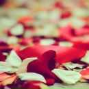 Євгенія Олійник фотография #33 (источник - https://vk.com/id8270276)