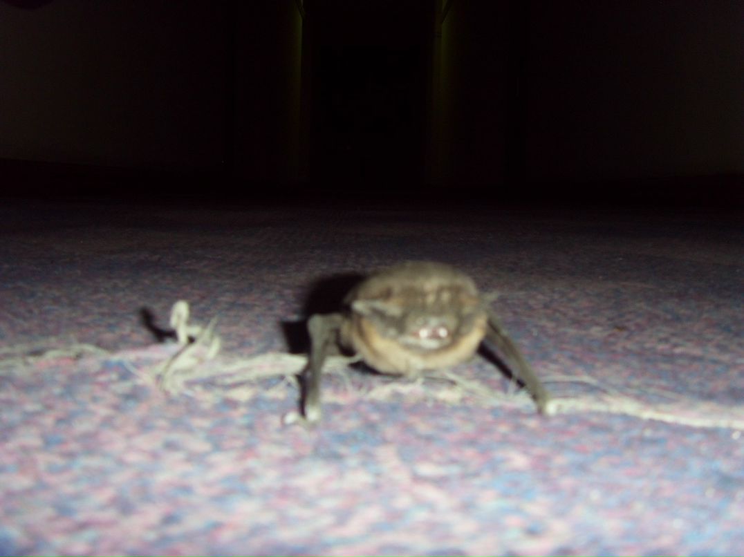 Сергей Лебедев фотография #33