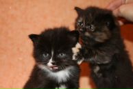 Фотография Захаревич Юлии