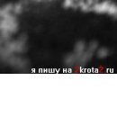 Олександра Сузінович фотография #6 (источник - https://vk.com/id67921577)