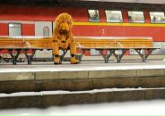 Max Max фотография #37 (источник - https://vk.com/id1641514)