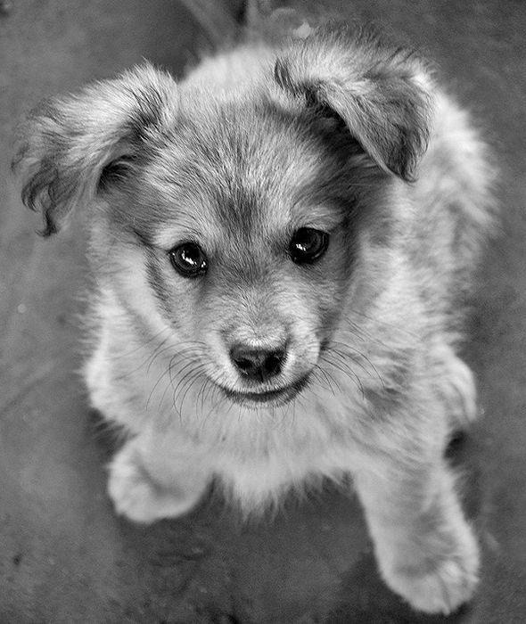 Дмитрий Яковлев фотография #17