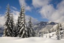 Юлія Париш фотография #3 (источник - https://vk.com/id56619974)