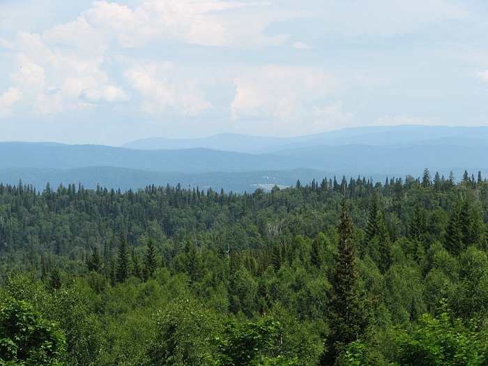 Рустам Казанцев фотография #28