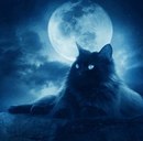 Вова Зільвова фотография #39 (источник - https://vk.com/id165539922)