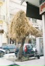 Іванна Харланова фотография #29 (источник - https://vk.com/id5313956)